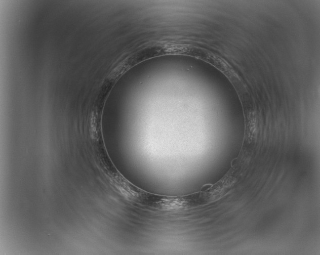X0000076400667200610061218