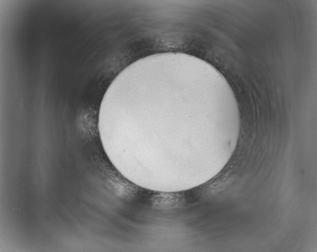 X0000076400672200610061218