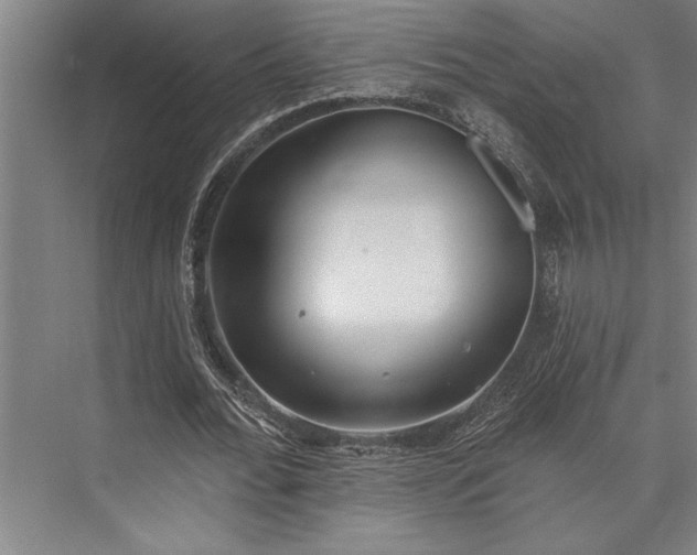 X0000076400676200610061217