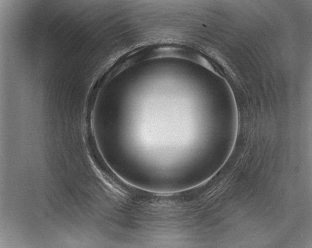 X0000076400677200610061217