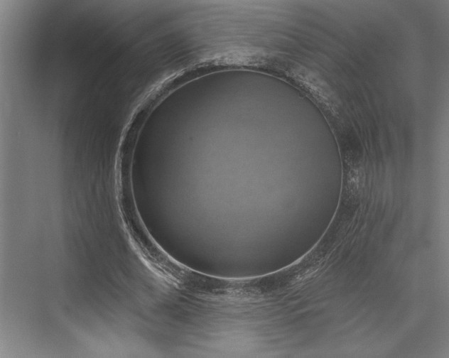 X0000076400678200610061217