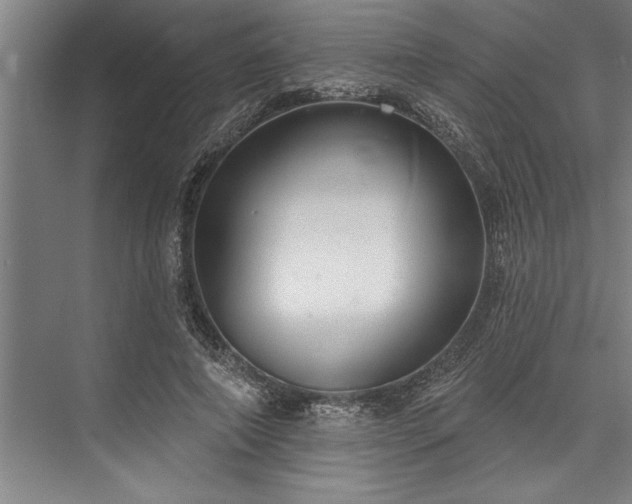 X0000076400690200610061217