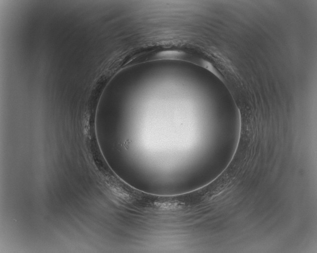 X0000076400693200610061217