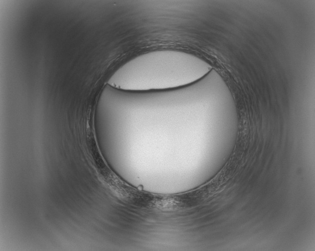 X0000076400695200610061217