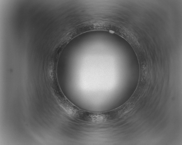 X0000076400698200610061217