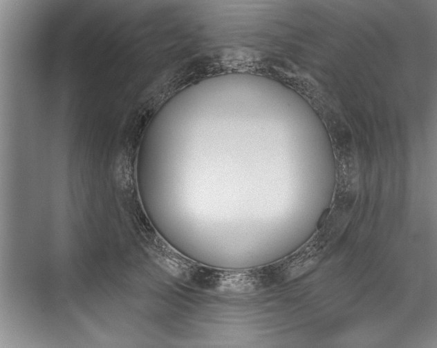 X0000076400705200610061217