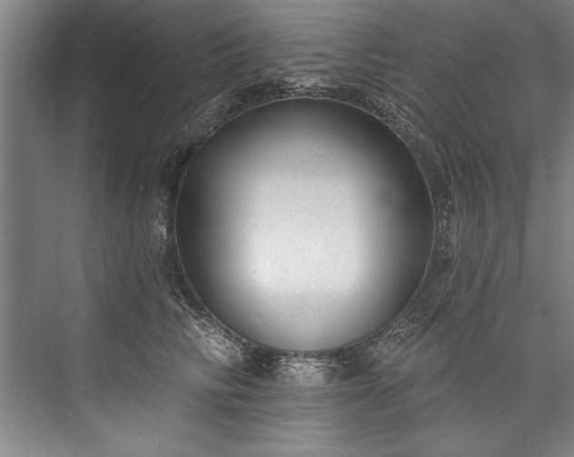 X0000076400710200610061217