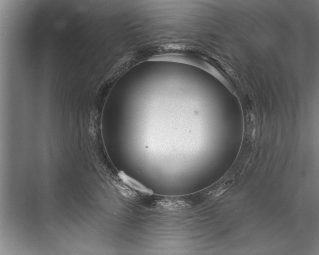 X0000076400712200610061217