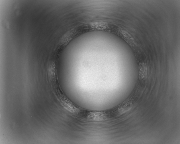 X0000076400713200610061217