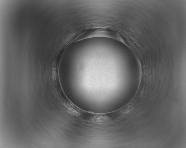 X0000076400716200610061217