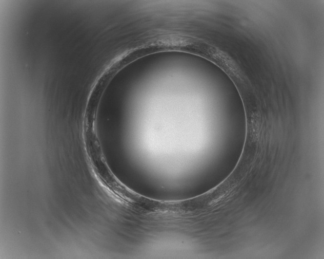 X0000076400726200610061216