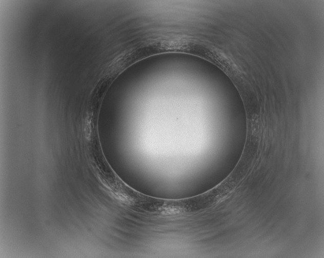 X0000076400741200610061216