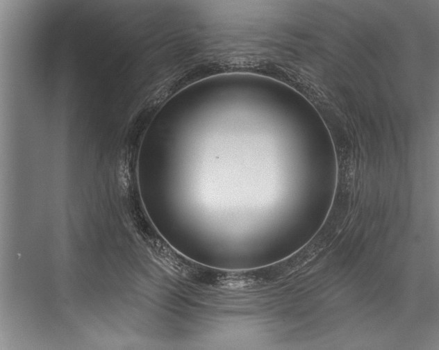 X0000076400746200610061216