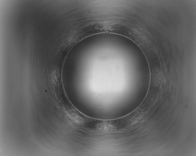 X0000076400747200610061216