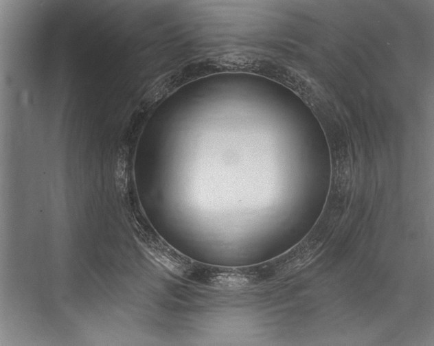 X0000076400749200610061216
