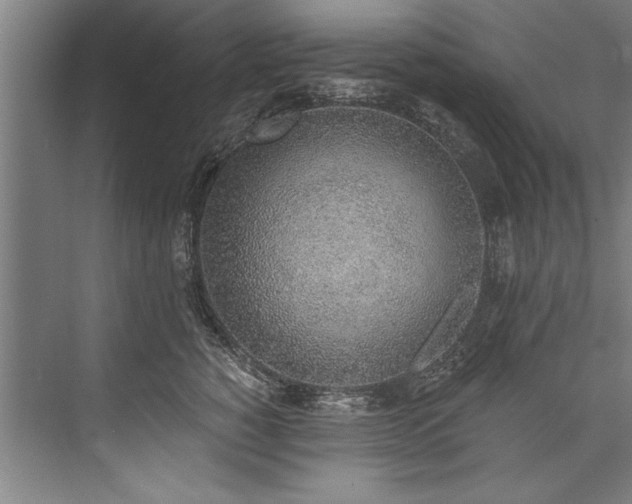 X0000076400760200610061216
