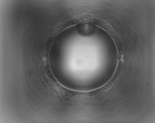 X0000076400771200610061216