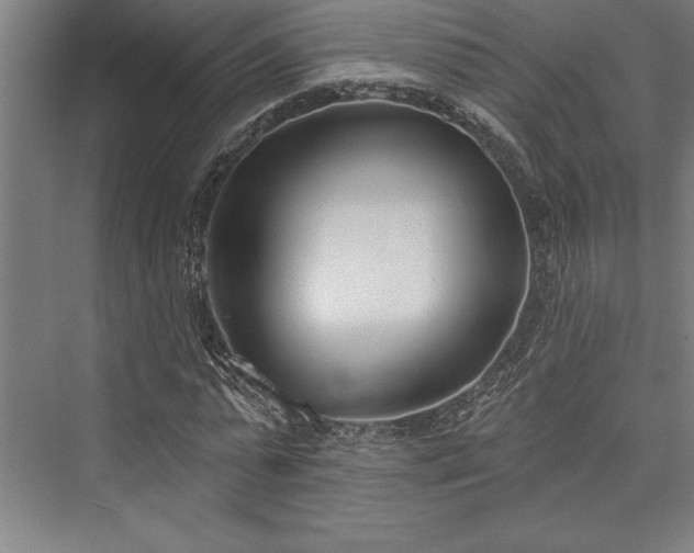 X0000076400775200610061216