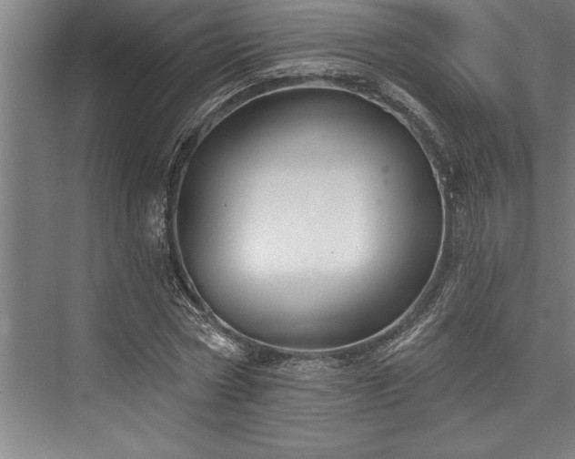 X0000076400778200610061215