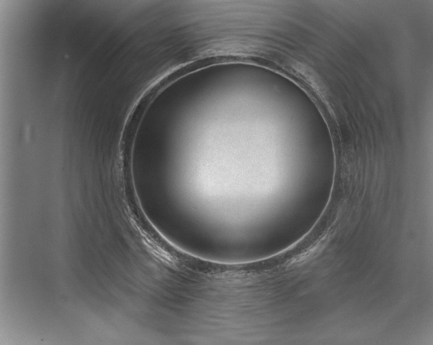 X0000076400779200610061215