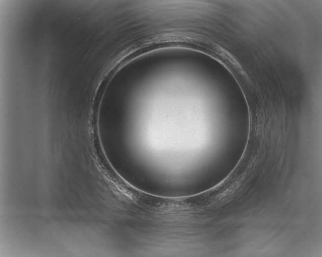 X0000076400786200610061215