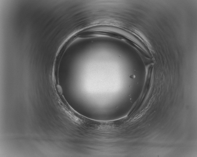 X0000076400788200610061215
