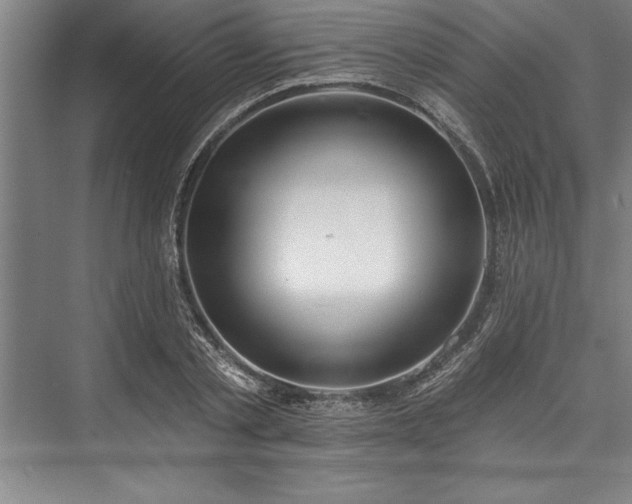 X0000076400789200610061215