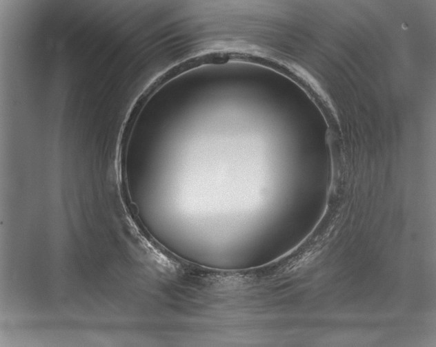 X0000076400791200610061215