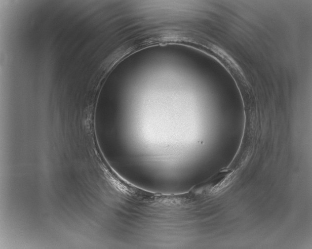 X0000076400801200610061215