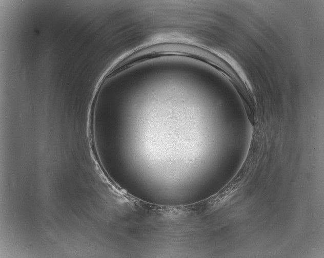 X0000076400815200610061215