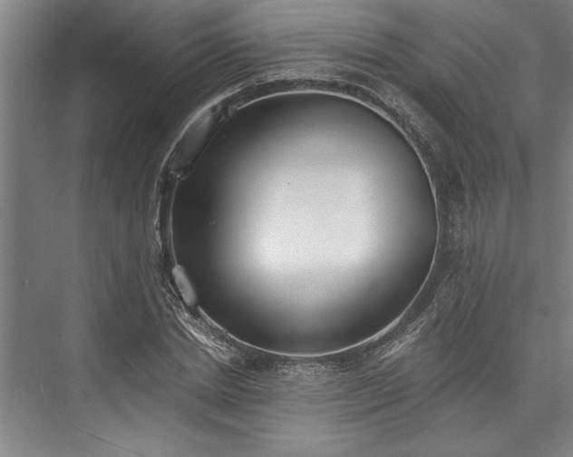 X0000076400830200610061214