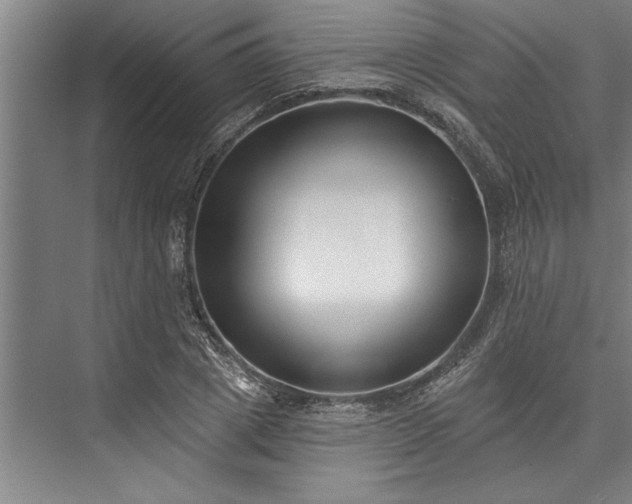 X0000076400833200610061214