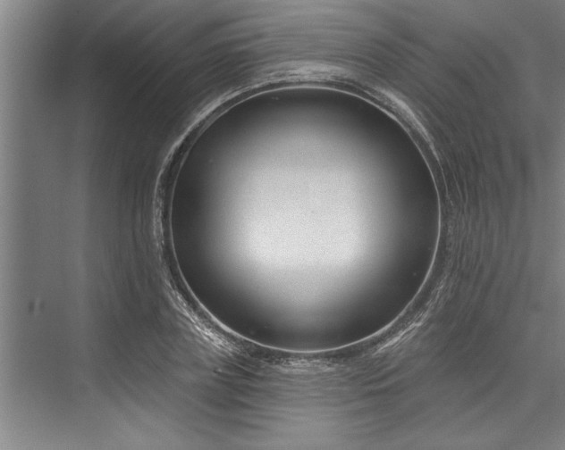X0000076400835200610061214