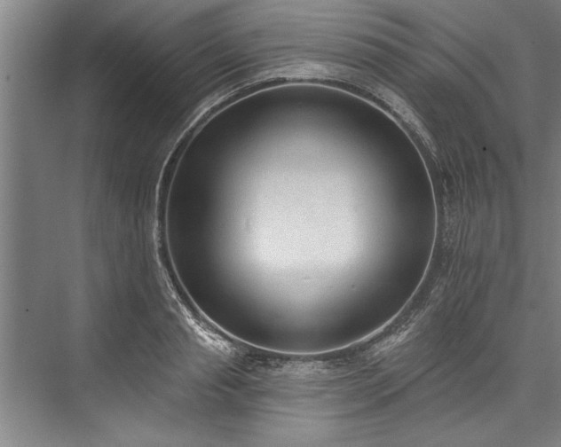 X0000076400845200610061215