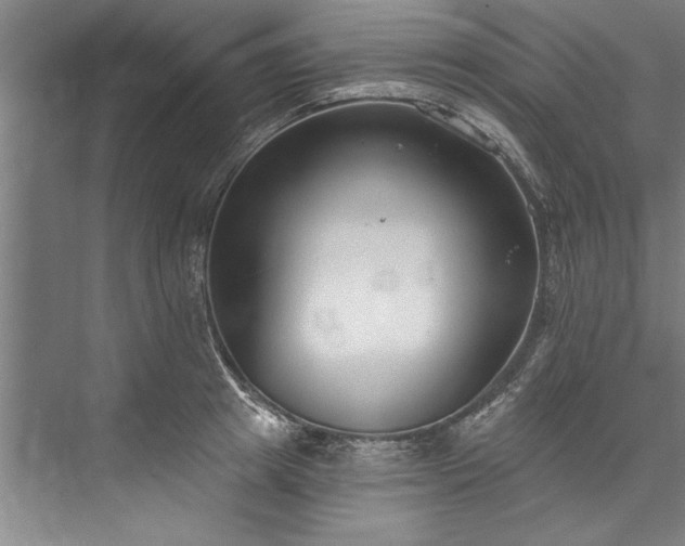 X0000076400849200610061215