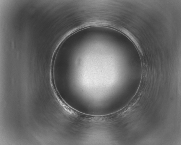 X0000076400861200610061215