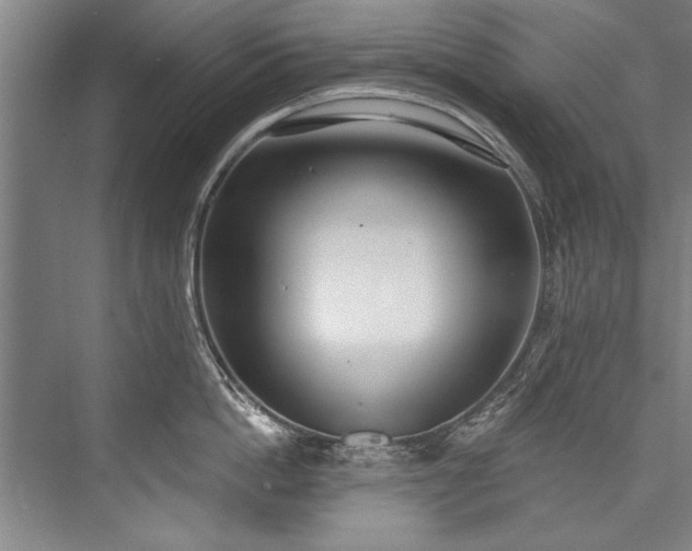 X0000076400862200610061215