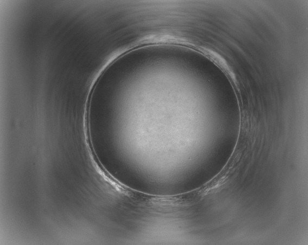 X0000076400863200610061215