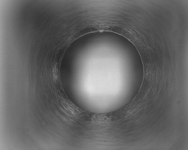 X0000076400866200610061214