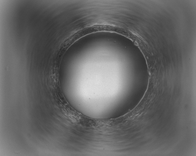 X0000076400870200610061214