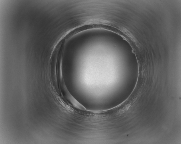 X0000076400877200610061214