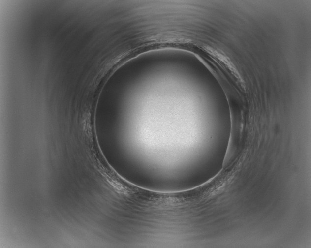 X0000076400881200610061214
