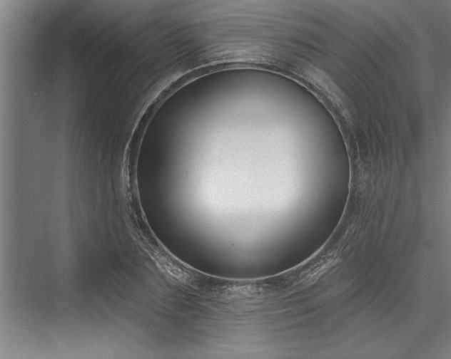 X0000076400883200610061214