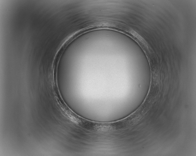 X0000076400886200610061214