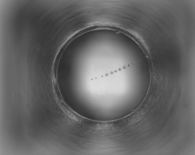 X0000076400887200610061214