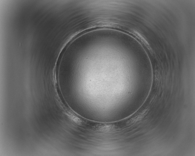 X0000076400891200610061214
