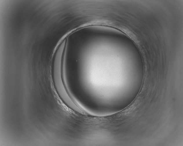 X0000076400912200610061213