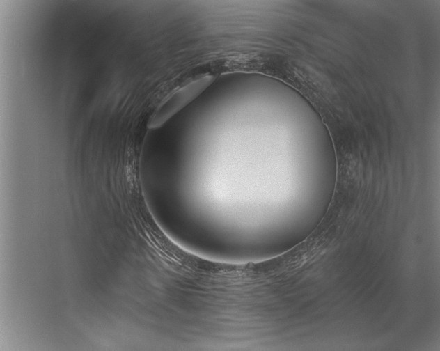 X0000076400914200610061212