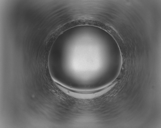 X0000076400919200610061212