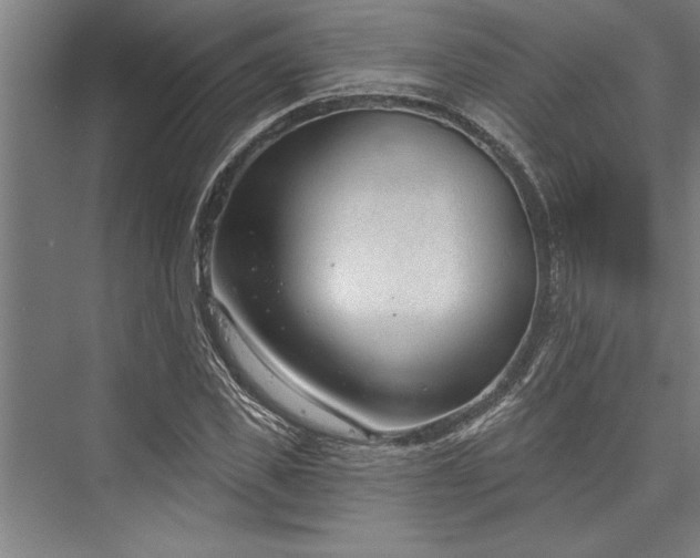 X0000076400925200610061213